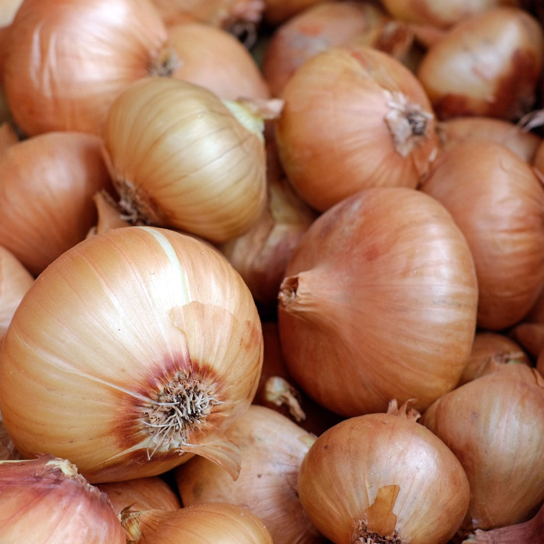 Cebolla (5 kg)