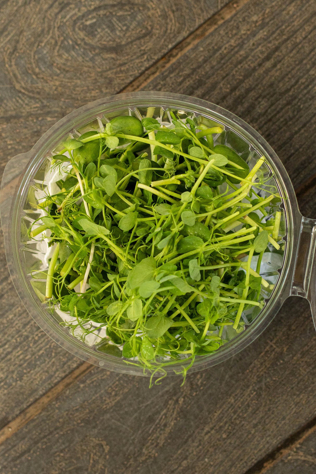 Microgreens Mix (70 gr)