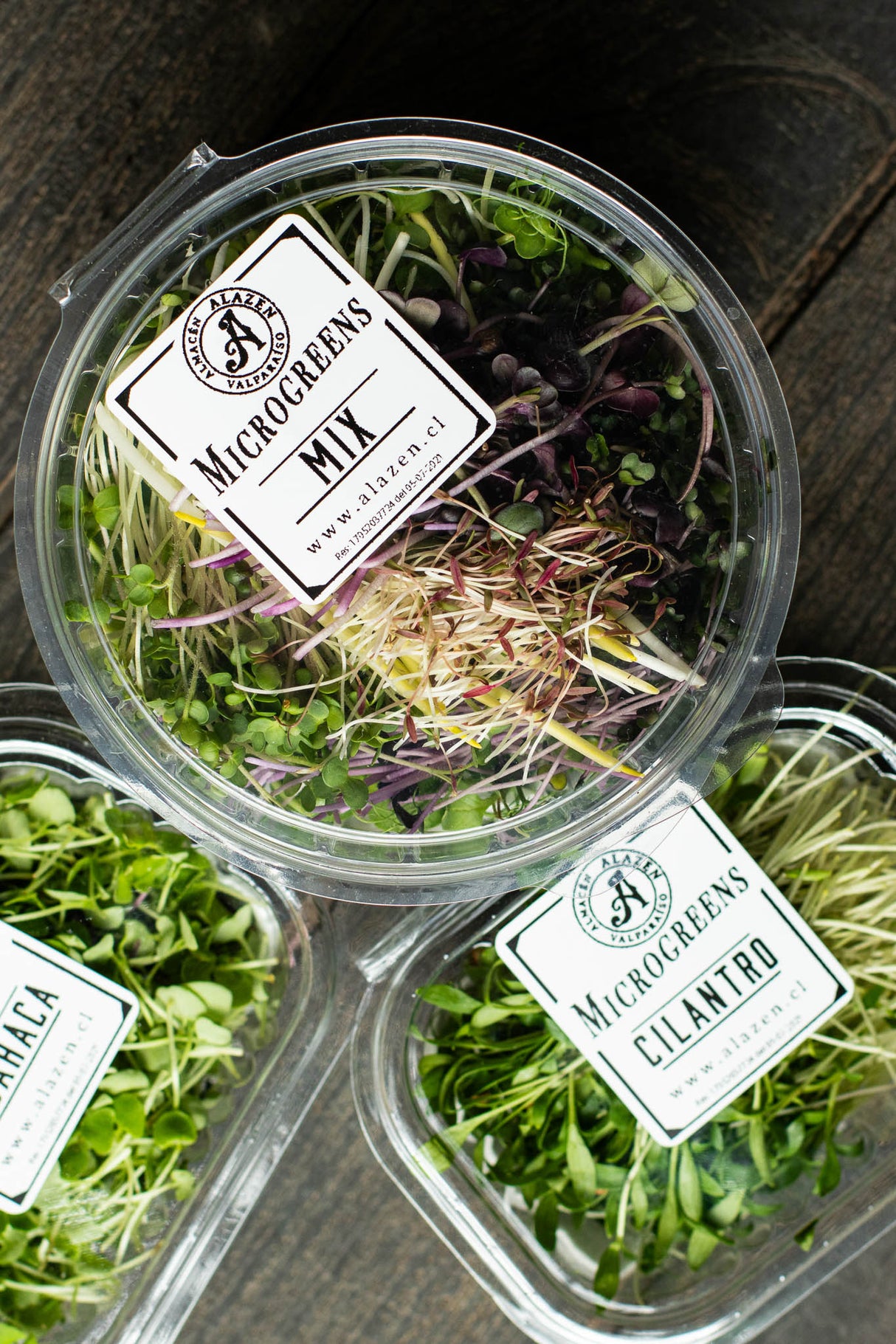 Microgreens Mix (70 gr)