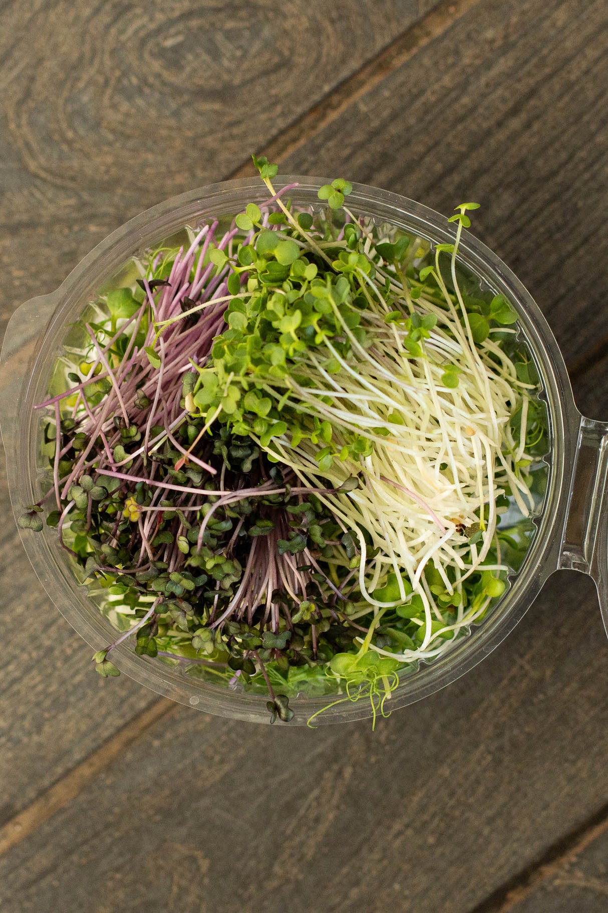 Microgreens Mix (70 gr)