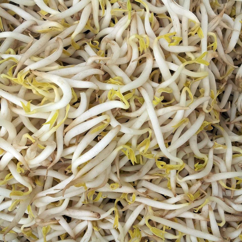 Diente de dragón (250 gr)