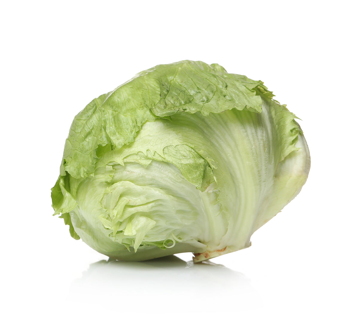 Lechuga Escarola (u)