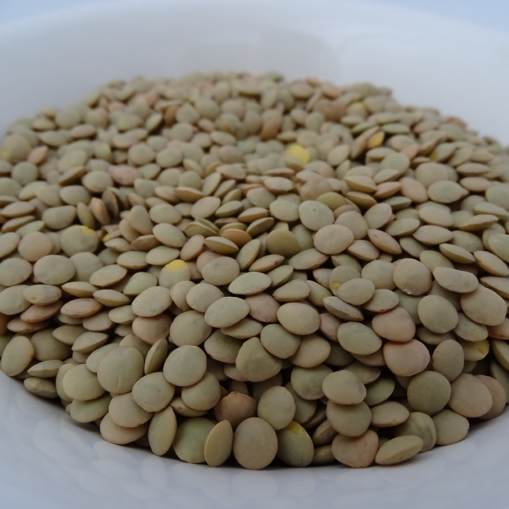 Lentejas (500 gr)