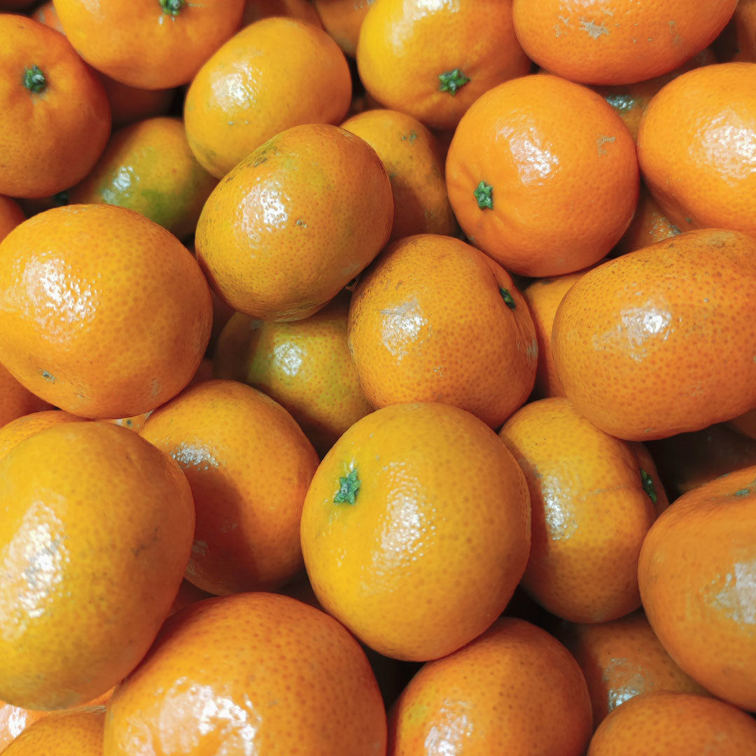 Mandarina (5 kg)
