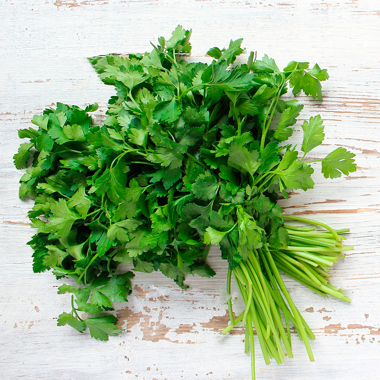 Mix Cilantro-Perejil (pqte)
