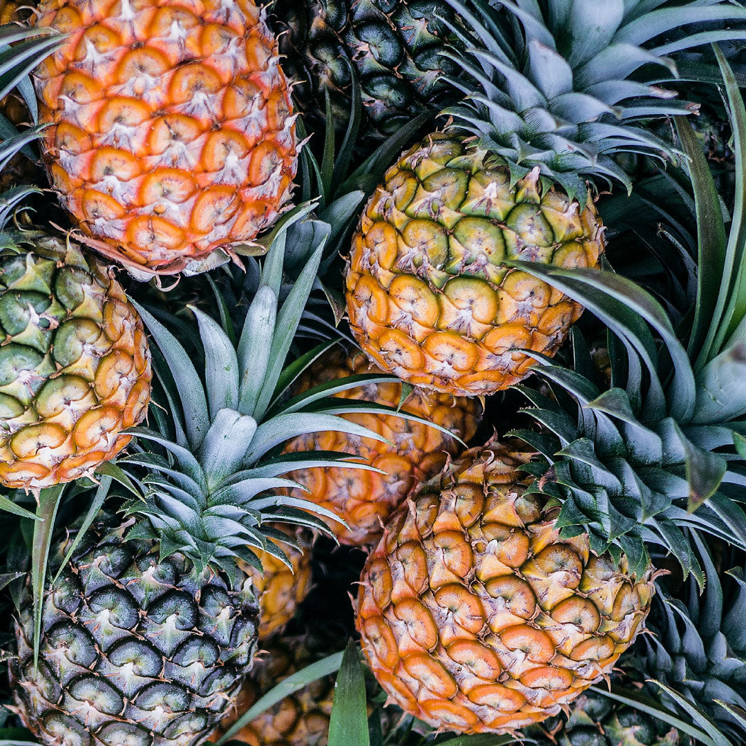 Piña (5 u)