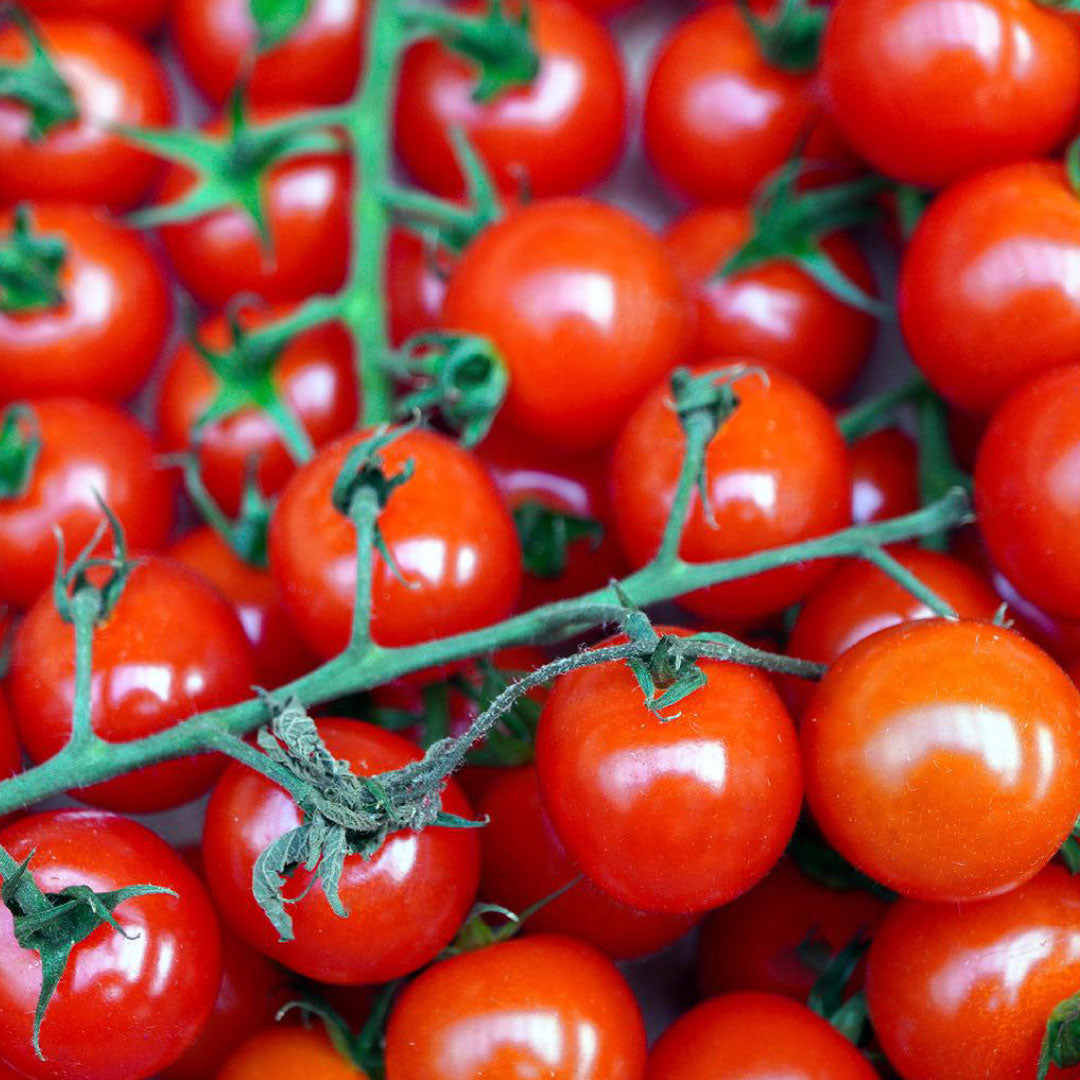 Tomate Cherry (5 kg)