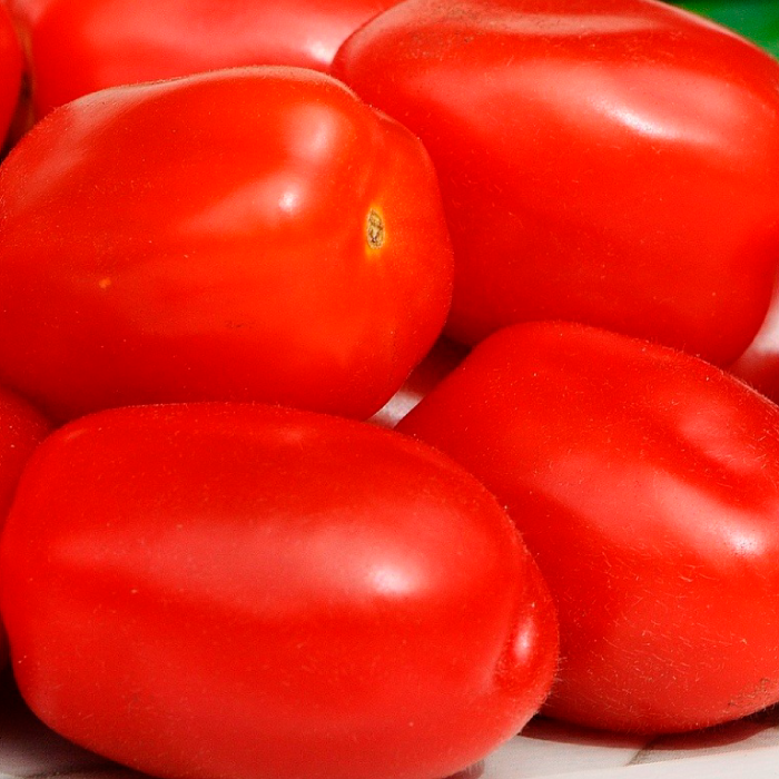 Tomate Pomarola (kg)