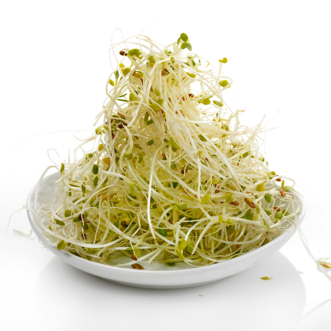Brotes de Alfalfa (70 gr)