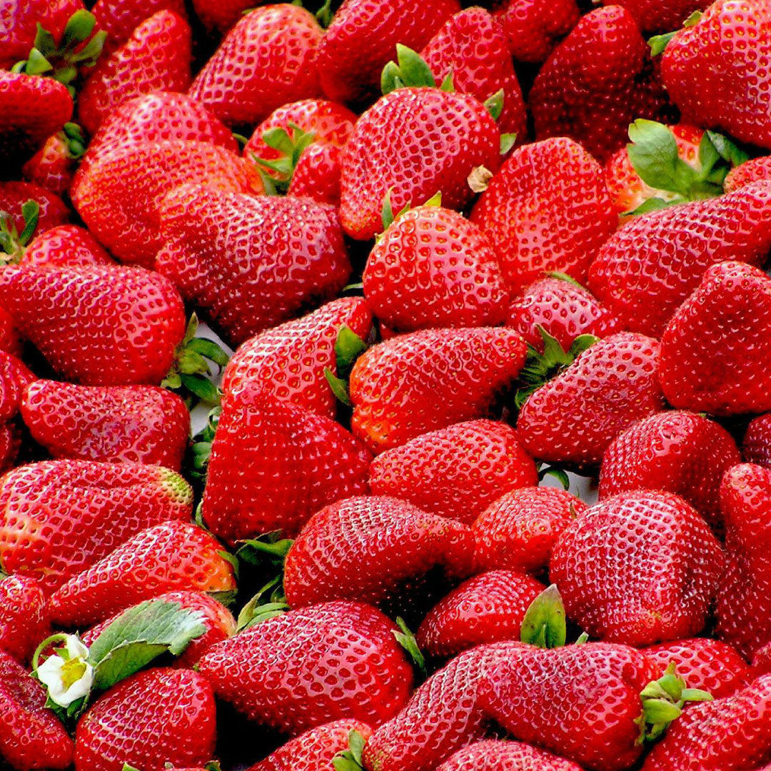 Frutilla Primera (Caja 6,5 kg)