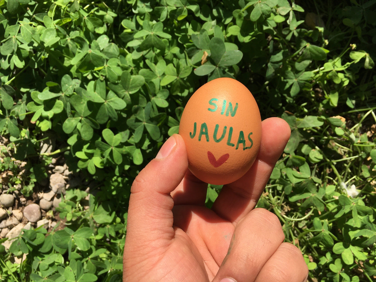 Huevo Gallina Libre Extra (30 u)