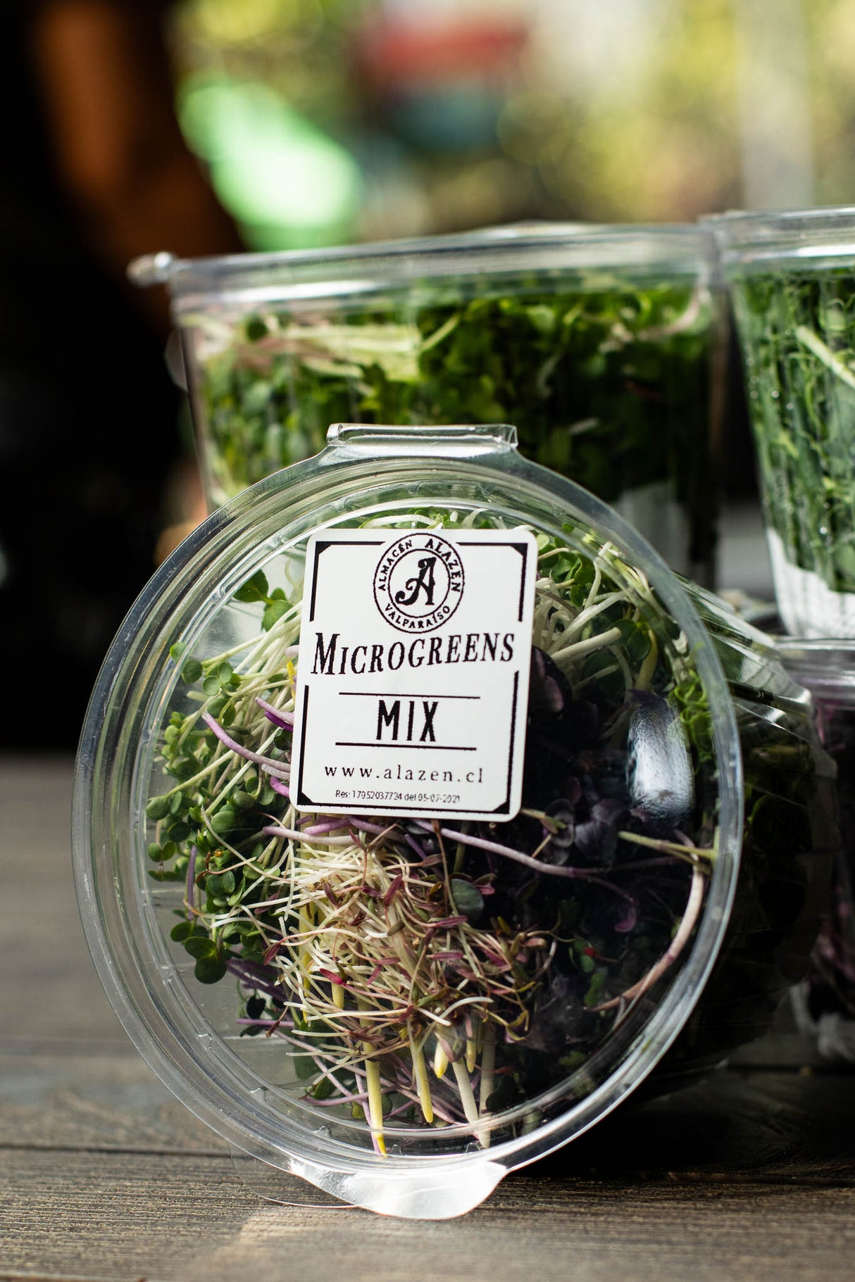Microgreens Mix (70 gr)