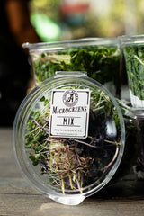 Microgreens Mix (70 gr)