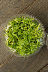Microgreens Mix (70 gr)