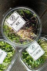 Microgreens Mix (70 gr)