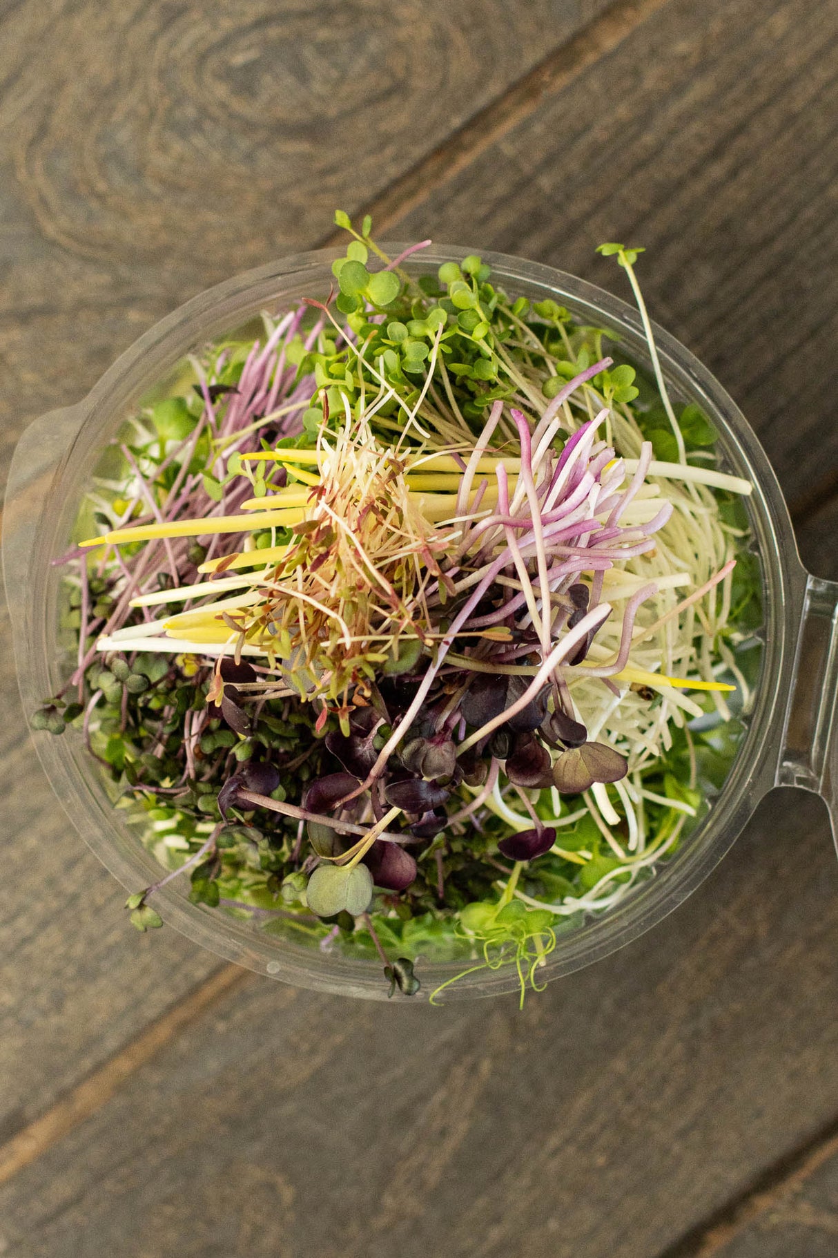 Microgreens Mix (70 gr)