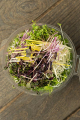Microgreens Mix (70 gr)