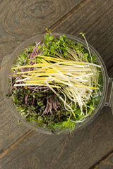 Microgreens Mix (70 gr)