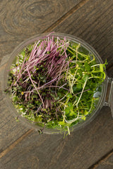 Microgreens Mix (70 gr)