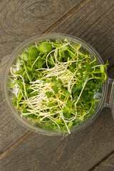 Microgreens Mix (70 gr)