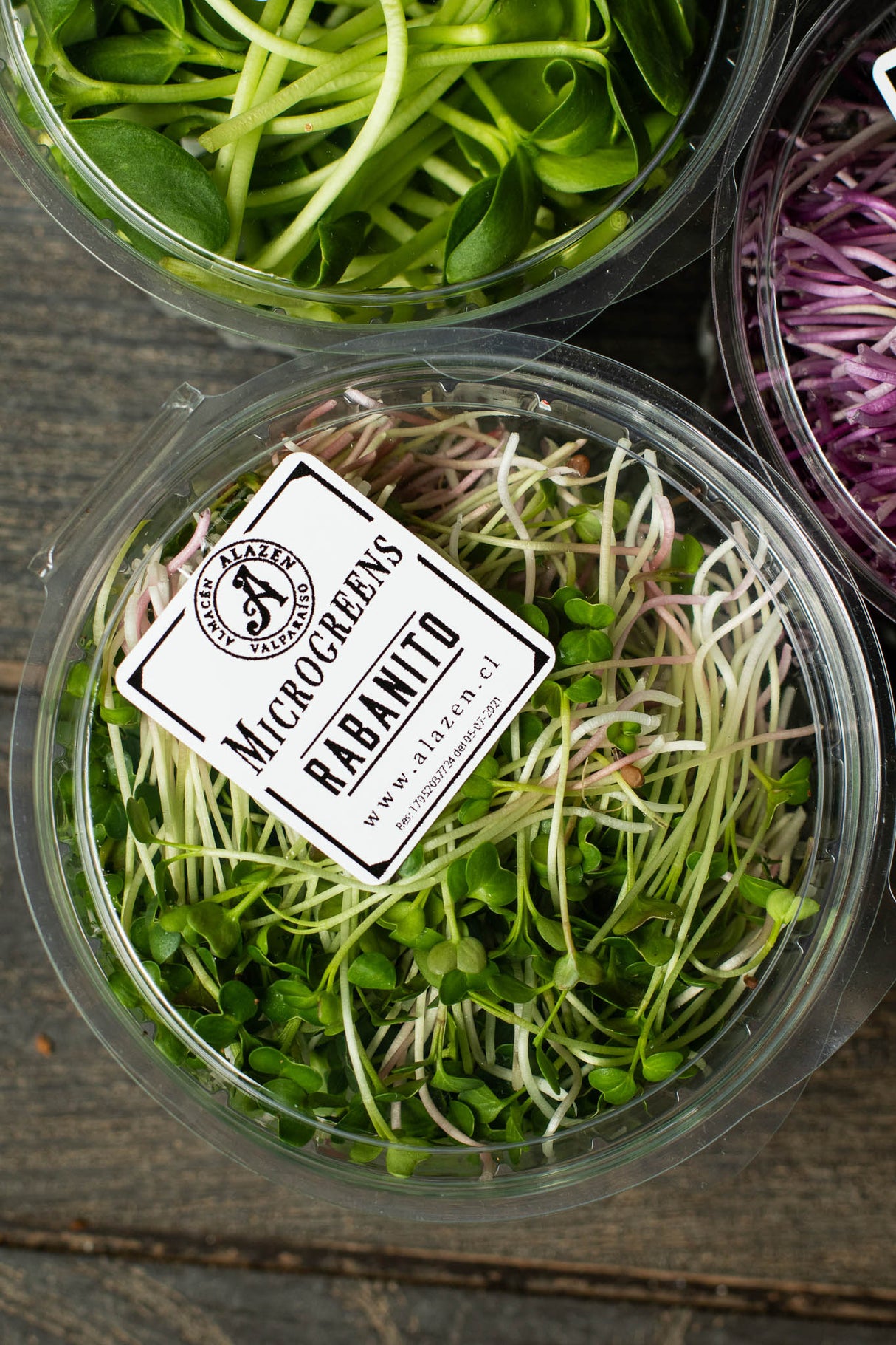 Microgreens Rabanito (20 gr)