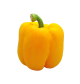Pimentón Amarillo Grande (10 u)