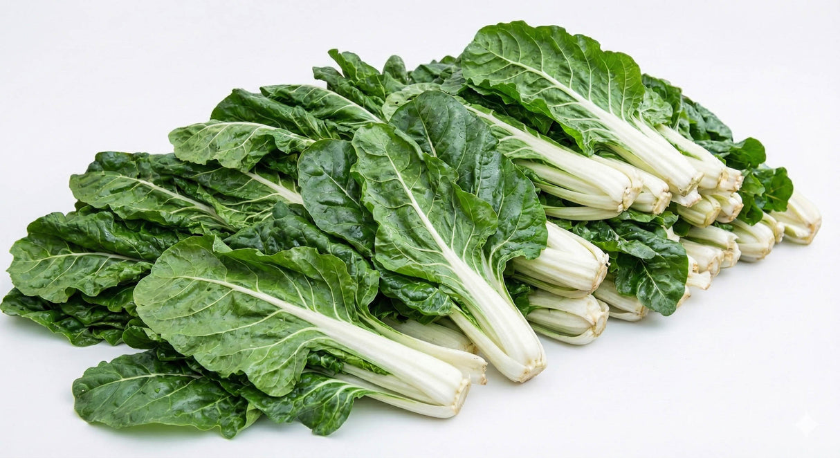 Acelga (12 pqte)