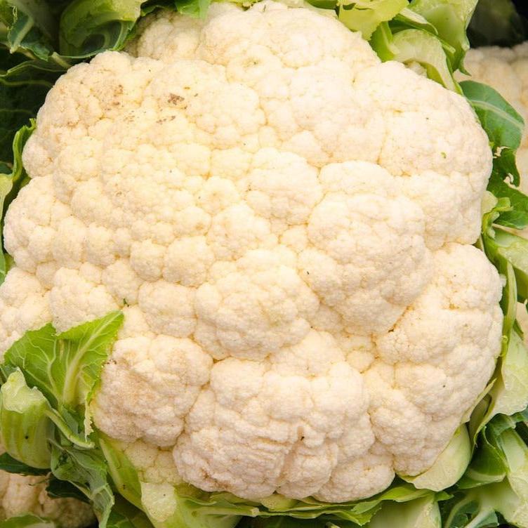 Coliflor (u)