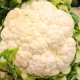 Coliflor (u)