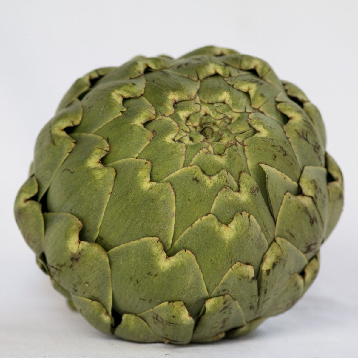 Alcachofa Española (u)