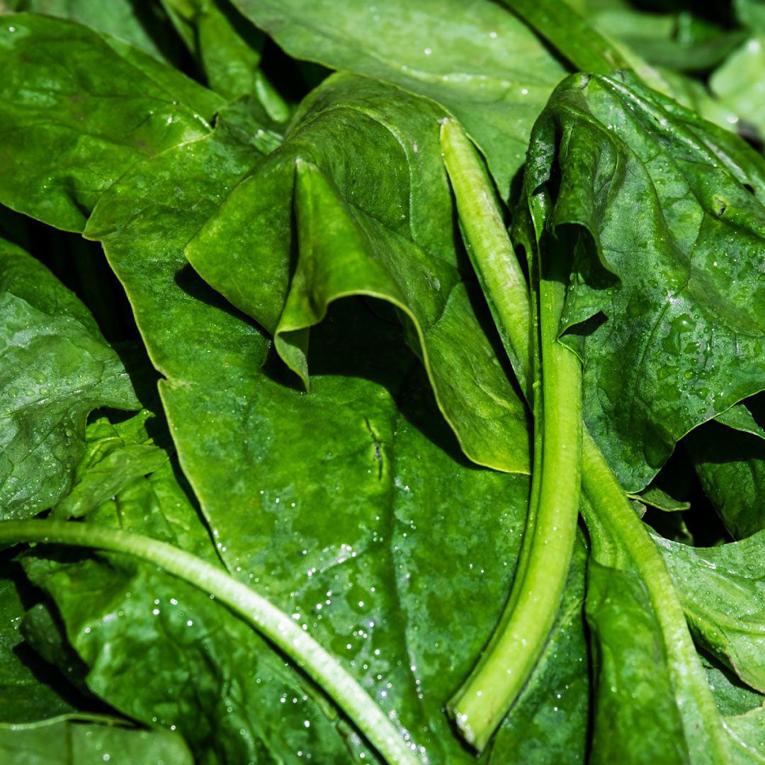 Espinaca (6 u)