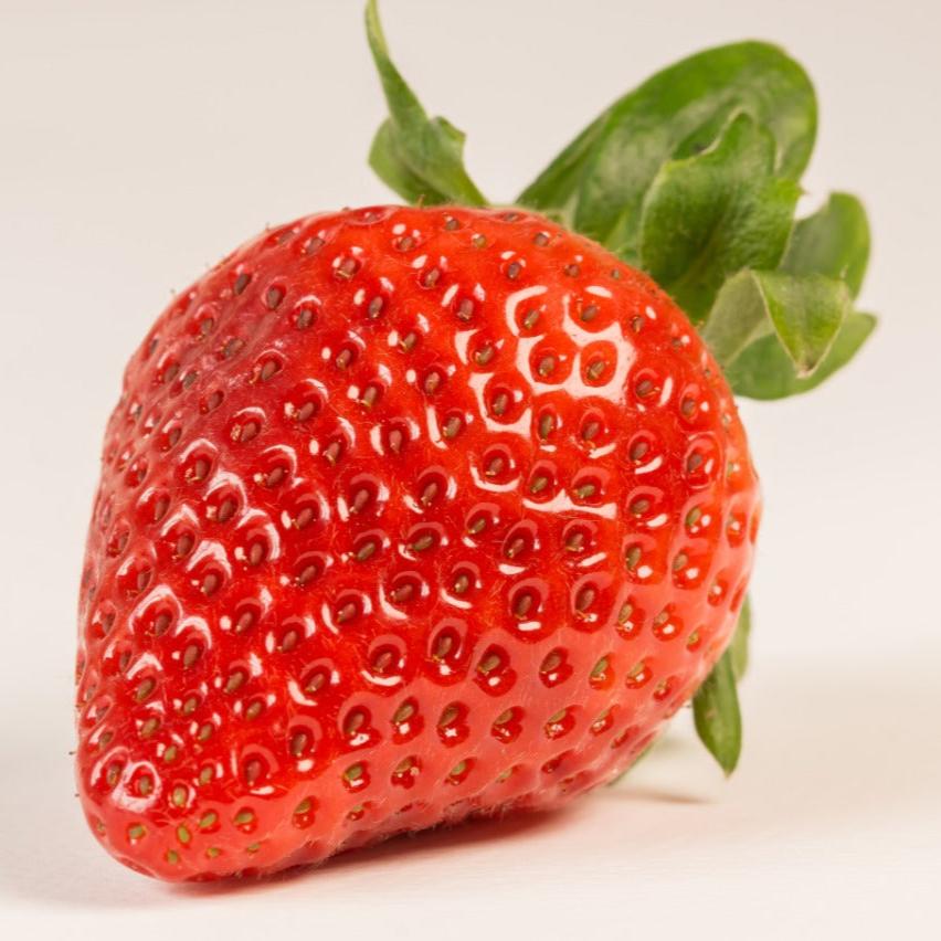 Frutilla (500 gr)