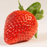 Frutilla (500 gr)