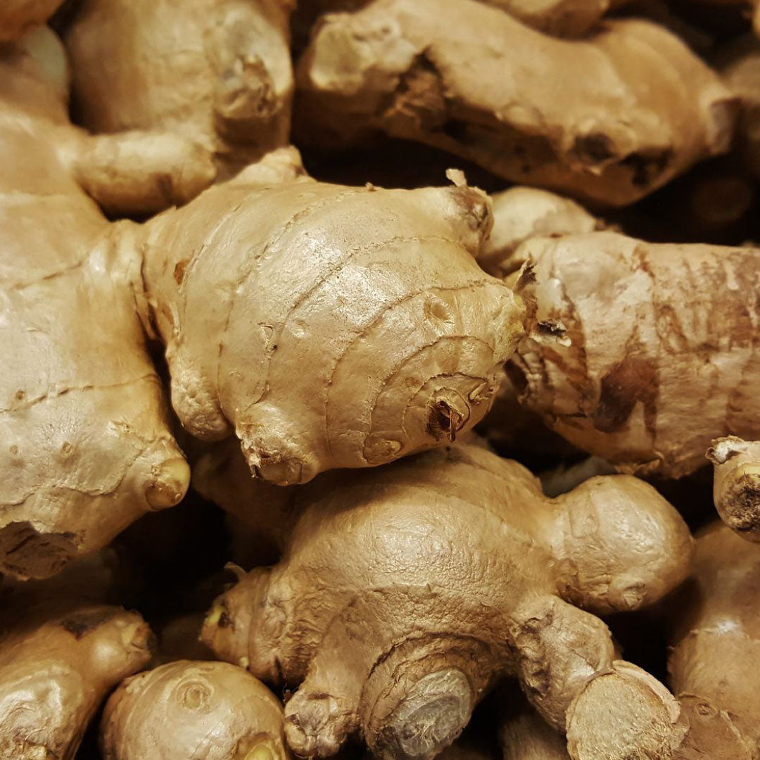 Jengibre (100 gr)