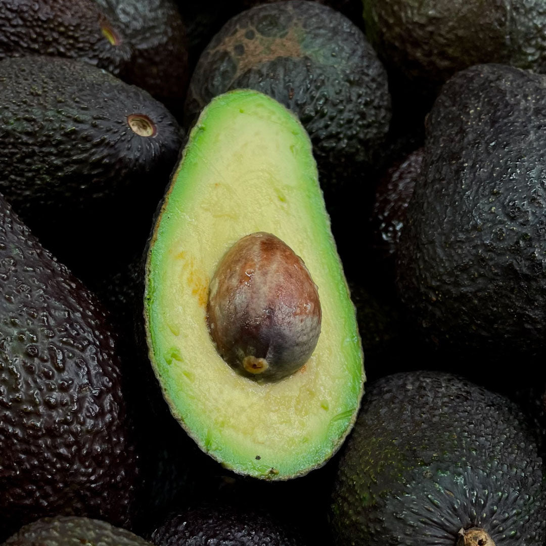 Palta Hass Chilena (5 kg)