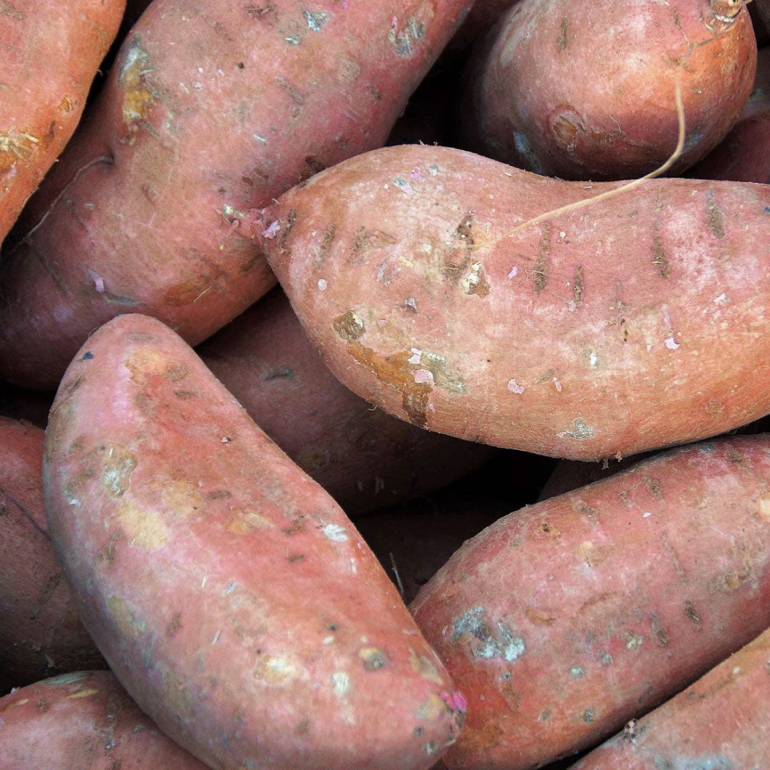 Papa Camote (5 kg)
