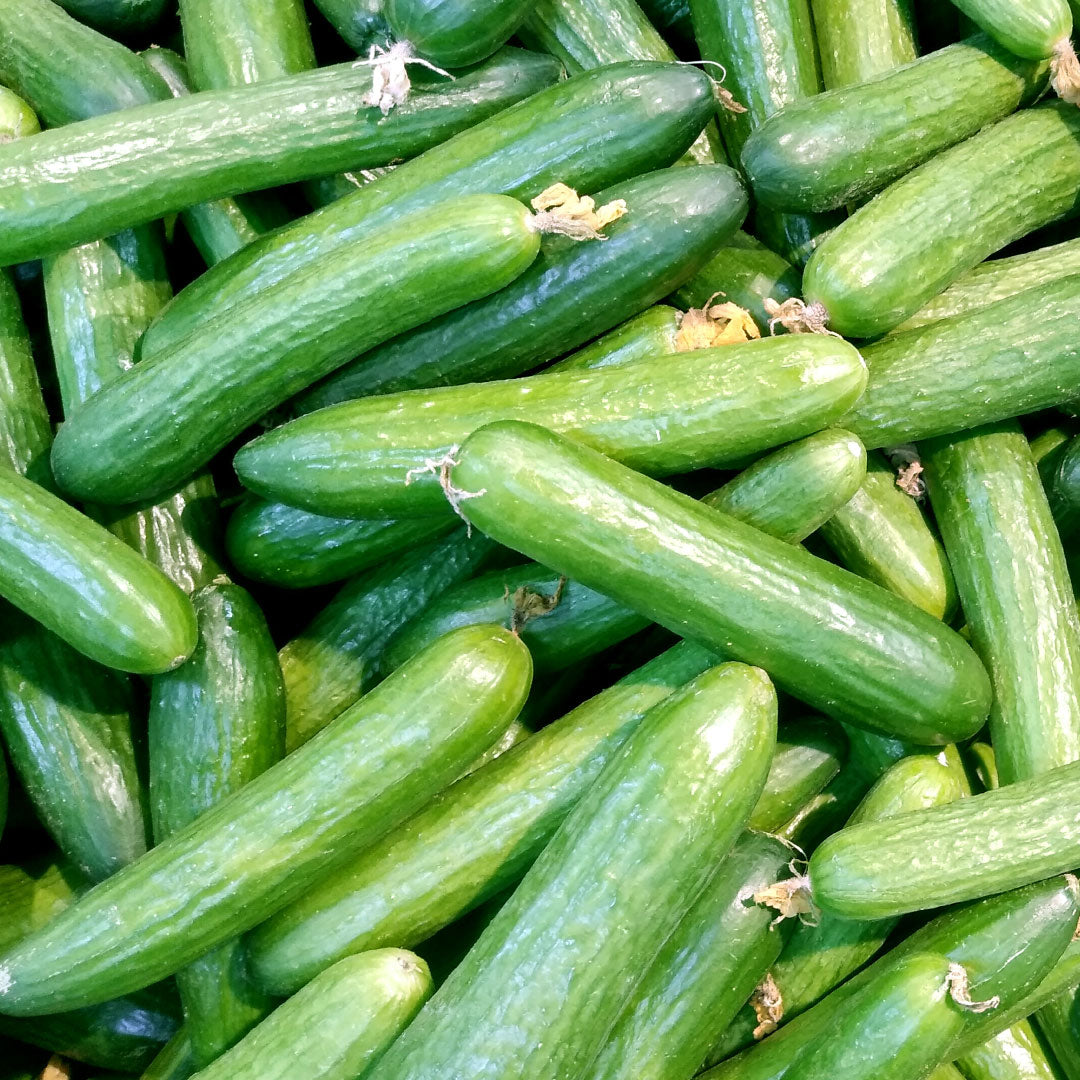Pepino Ensalada (10 u)