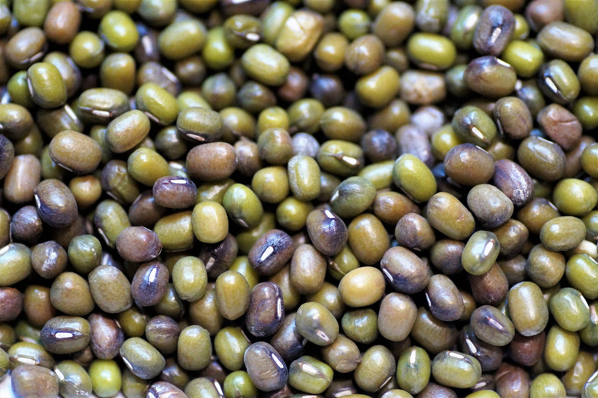 Poroto Mung (500 gr)