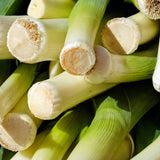 Puerro (u)