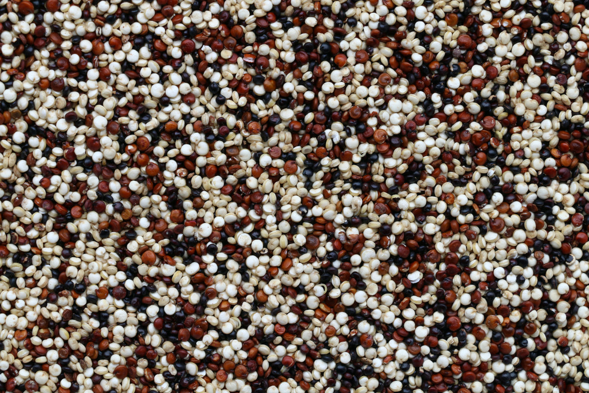 Quinoa Tricolor (500 gr)