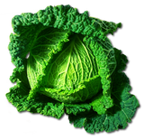 Repollo Verde (u)