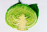 Repollo Verde (u)